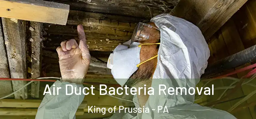  Air Duct Bacteria Removal King of Prussia - PA