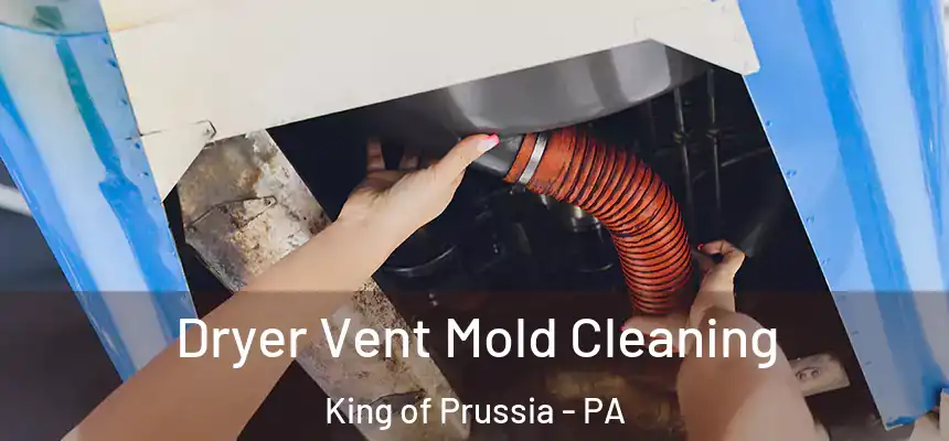 Dryer Vent Mold Cleaning King of Prussia - PA