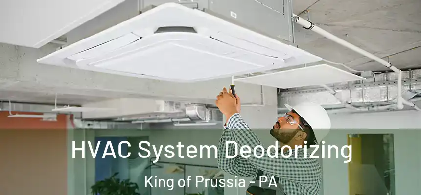  HVAC System Deodorizing King of Prussia - PA