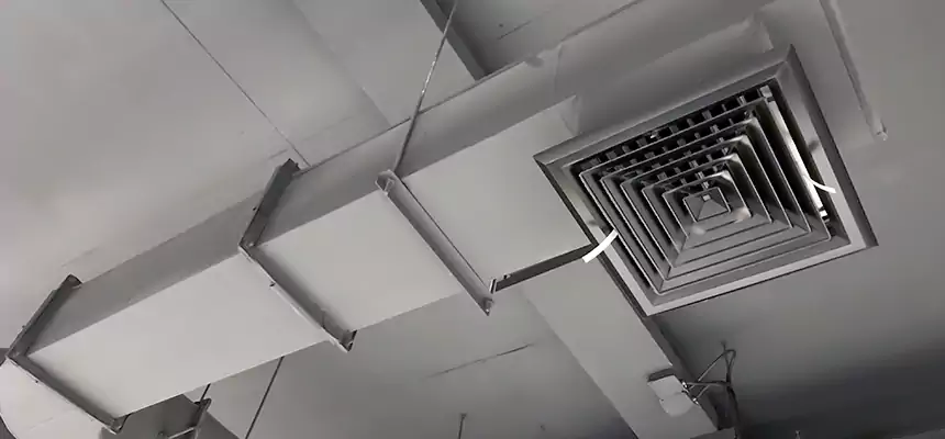 Our Pest Removal From Ducts Services in King of Prussia, PA