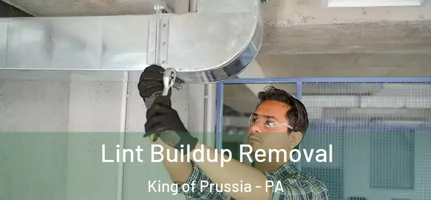 Lint Buildup Removal King of Prussia - PA