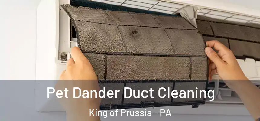 Pet Dander Duct Cleaning King of Prussia - PA