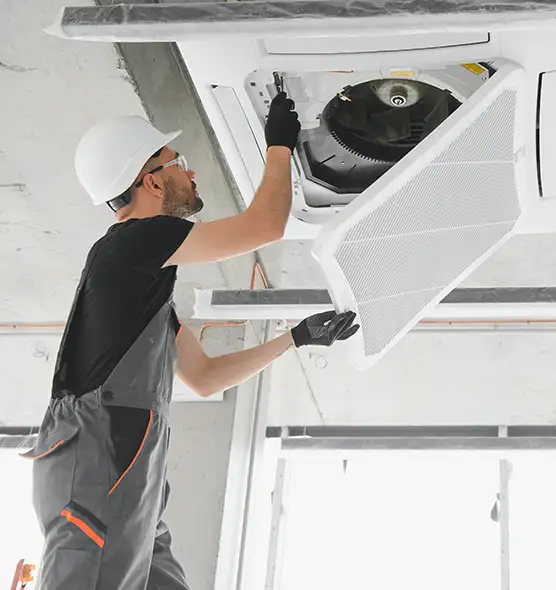 About Air Duct Rodent Removal in King of Prussia, PA