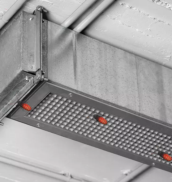 Affordable Insect Removal from Air Ducts in King of Prussia, PA