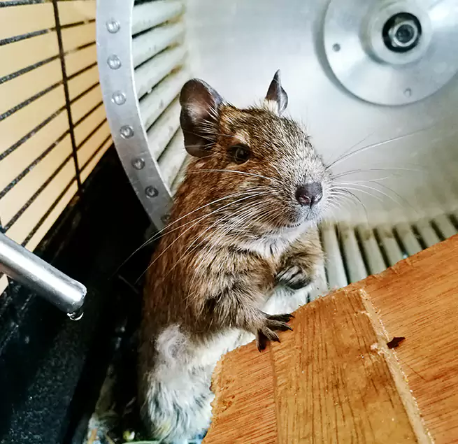 Why Homeowners & Businesses Trust Us King of Prussia, PA