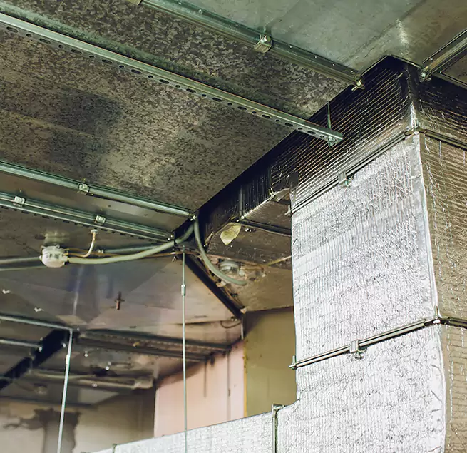 Why Homeowners & Businesses Trust Us in King of Prussia, PA?